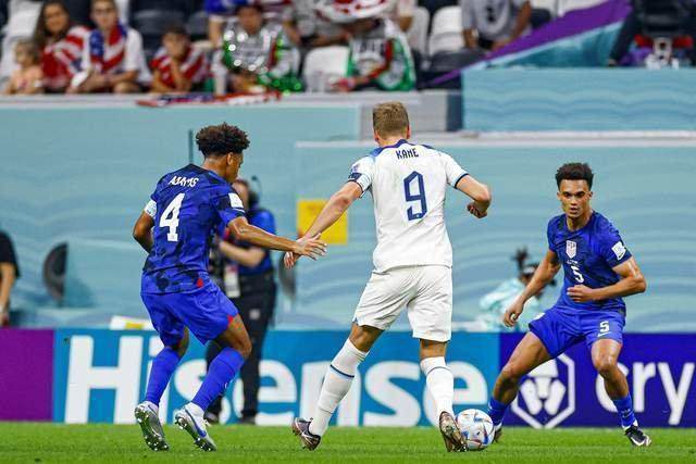 1669418080365024682.jpg yinggelan.jpg